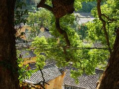-杨家堂村