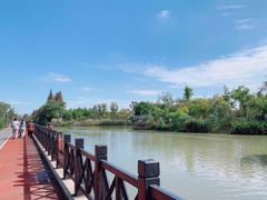 -上海长兴岛郊野公园