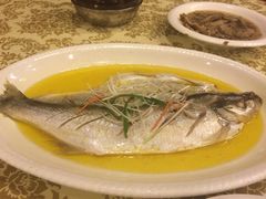 -中国饭店-餐厅