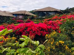 -优游吧斯邹族文化部落