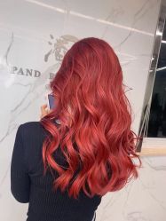-潘多拉Hairsalon