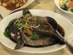 老虎斑-真浪花园海鲜餐馆