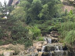 -浙江安吉JW万豪酒店·万豪中餐厅