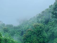 -云南屏边大围山国家公园
