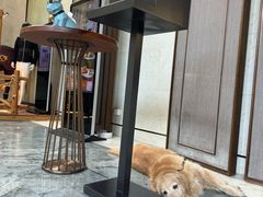 -上海崇明金茂凯悦酒店