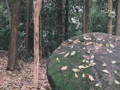 -火炉山森林公园