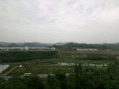 -老味道1992(武当山店)