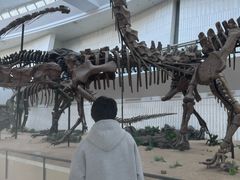 -天津自然博物馆