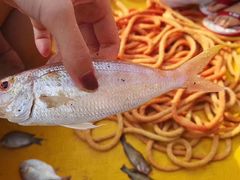 -石梅湾