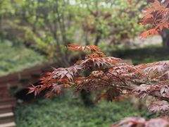 -里口山风景名胜区
