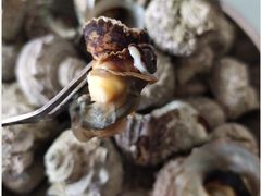 白灼大眼螺-金辉海鲜餐厅