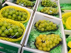 -叶氏兄弟果业(大连鲁迅店)