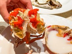 -青蓬海上捞蒸品海鲜城(海岸城店)