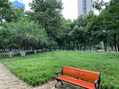-后襄河公园