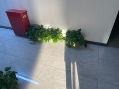 -新航道雅思托福·留学·考研培训(人民广场校区)