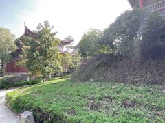 -开福禅寺