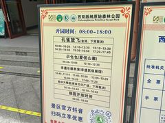 -西双版纳原始森林公园