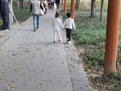 -沙河三洞古桥公园