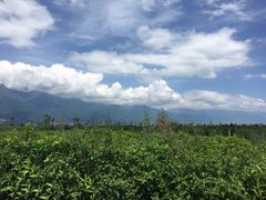 -才村湿地公园
