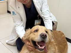 -美联众合动物医院·24h京西诊疗中心