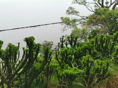-南诏风情岛