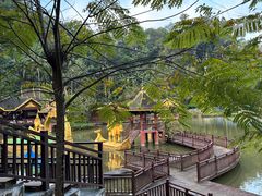 -西双版纳原始森林公园