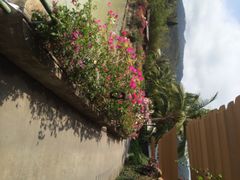 三亚凯莱仙人掌度假酒店-三亚亚龙湾凯莱仙人掌度假酒店