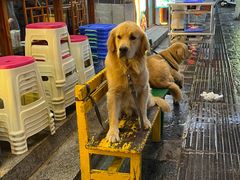 -八木轩·寻味大理白族民俗餐厅(文献路店)