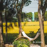 建筑师的稻田咖啡馆，美出天！