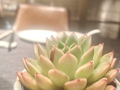-天瑞轩·粤菜餐厅