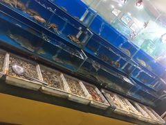 -老码头海鲜烧烤炒菜(广西路店)