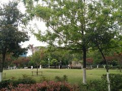 -沙河三洞古桥公园