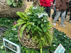 -石家庄市植物园