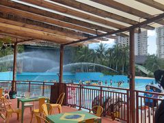 -亚马逊丛林水乐园