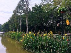 -大湾区中央湿地公园