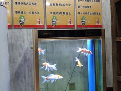 -重庆富侨足浴(抚顺店)