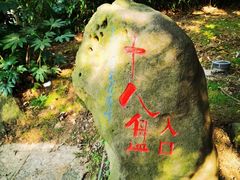-老山国家森林公园