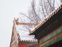 -故宫博物院(故宫)