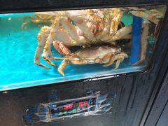 水产区-盒马鲜生(宝地店)