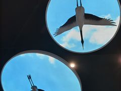 -盐城丹顶鹤湿地生态旅游区
