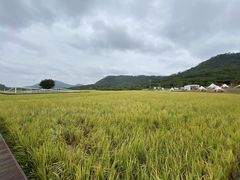 -风云岭森林公园