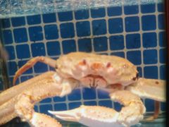 -船家渔(徐州北路店)