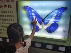 -上海昆虫博物馆