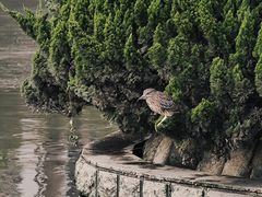 -苏州河梦清园环保主题公园