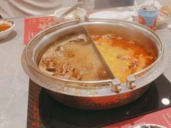 -一绪に寿喜烧(虹悦城店)