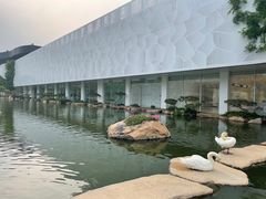 -罗红摄影艺术馆