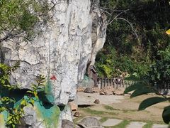 -广东惠东海龟国家级自然保护区