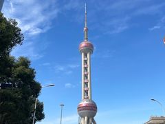 -The lounge 柏悦酒店大堂酒廊(上海环球金融中心店)