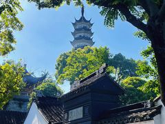 -苏州上方山国家森林公园