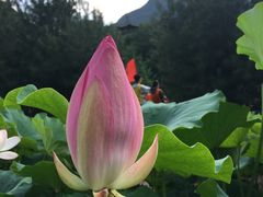 -九龙湾景区拓展会议